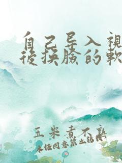 自己导入视频然后换脸的软件