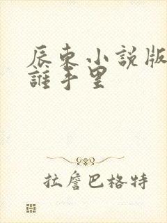 辰东小说版权在谁手里