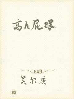 高h屁眼