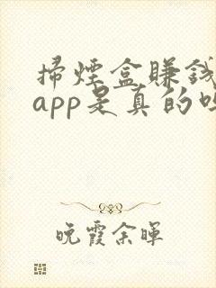 扫烟盒赚钱软件app是真的吗