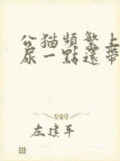公猫频繁上厕所尿一点还带血