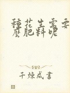 种花生需要上什么肥料呢