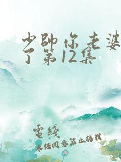 少帅你老婆又跑了第12集