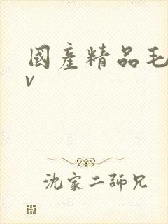 国产精品毛片av