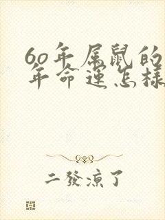 6o年属鼠的今年命运怎样