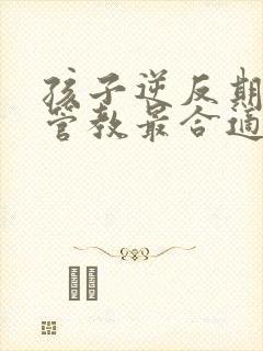 孩子逆反期怎么管教最合适男孩子