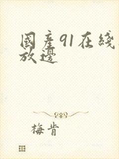 国产91在线播放边