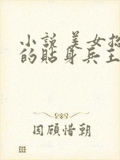 小说 美女总裁的贴身兵王