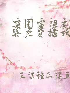 突围电视剧45集免费播放西瓜