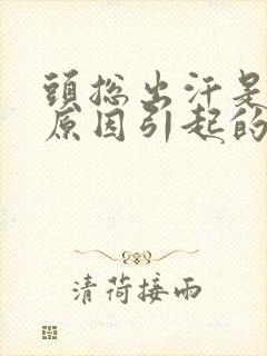 头总出汗是什么原因引起的