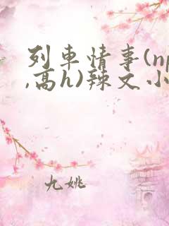 列车情事(np,高h)辣文小