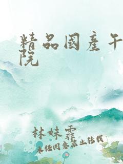 精品国产午夜影院