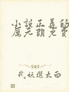 小说正义的使命厉元朗免费全文阅读一