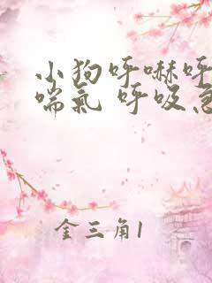 小狗呼哧呼哧的喘气 呼吸急促
