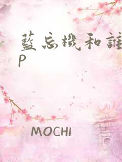 蓝忘机和谁是cp