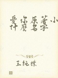 爱你原著小说叫什么名字