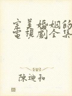 完美婚姻的定式电视剧全集免费观看