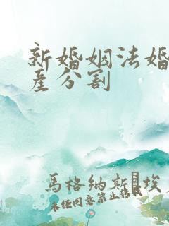 新婚姻法婚前房产分割