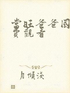 当旺爸爸国语免费观看