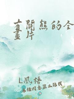 有关熊的全部动画片