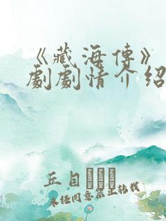 《藏海传》电视剧剧情介绍