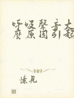 呼吸声音大是什么原因引起的