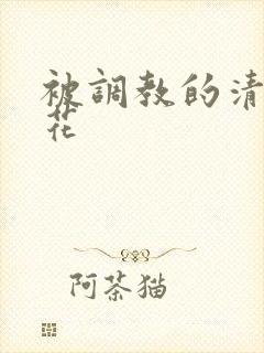 被调教的清纯校花