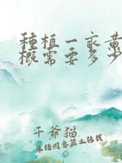 种植一亩黄精大概需要多少钱