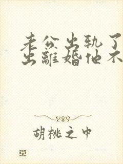 老公出轨了我提出离婚他不愿意