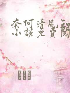 奈何清风知我意小说免费阅读