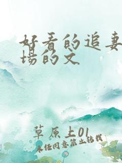 好看的追妻火葬场的文