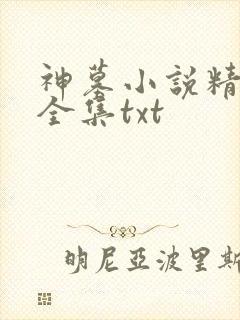 神墓小说精校版全集txt