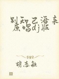 别知己海来阿木 原唱dj版