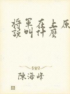 将军在上原著小说叫什么