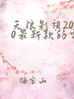 天狼影视2020最新款的电视剧