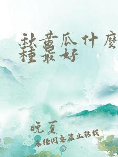 秋黄瓜什么时间种最好