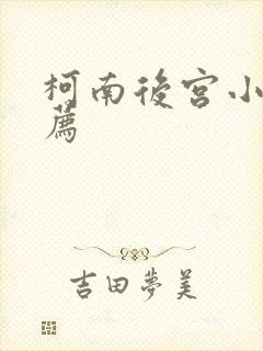 柯南后宫小说推荐