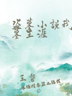 盗墓小说我的盗墓生涯