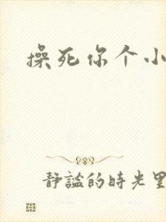 操死你个小贱逼