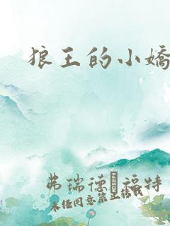 狼王的小娇妻