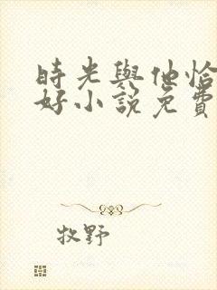 时光与他恰是正好小说免费