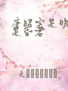 唐昭宗是明君还是昏君