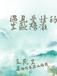 遇见爱情的利先生欧阳澈
