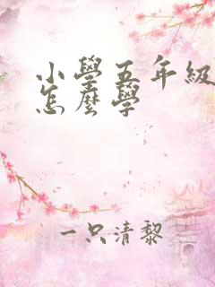 小学五年级英语怎么学