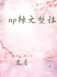 np辣文双性
