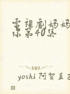 电视剧妈妈在等你第40集