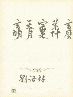 玄天宗叶玄澹台明月是什么小说