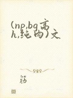 (np,bg高h,纯肉)文