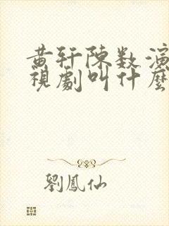 黄轩陈数演的电视剧叫什么