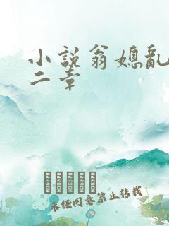 小说翁媳乱情第二章